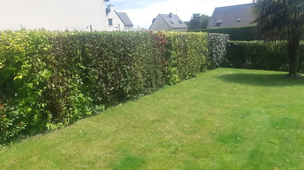 Entretien espaces verts